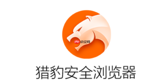 猎豹浏览器移动端官网链接 猎豹浏览器手机版在线登录