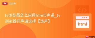tv浏览器怎么启用html5声道_tv浏览器开声道选择【选声】