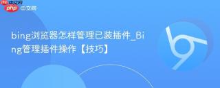 bing浏览器怎样管理已装插件_Bing管理插件操作【技巧】