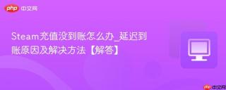 Steam充值没到账怎么办_延迟到账原因及解决方法【解答】