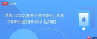 苹果17怎么查是不是全新机_苹果17全新机鉴别全流程【步骤】