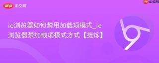 ie浏览器如何禁用加载项模式_ie浏览器禁加载项模式方式【提炼】