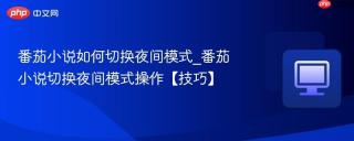 番茄小说如何切换夜间模式_番茄小说切换夜间模式操作【技巧】