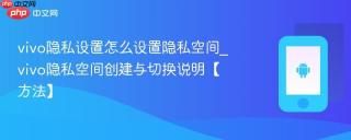 vivo隐私设置怎么设置隐私空间_vivo隐私空间创建与切换说明【方法】