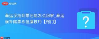 春运没抢到票还能怎么回家_春运候补购票与捡漏技巧【窍门】