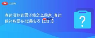 春运没抢到票还能怎么回家_春运候补购票与捡漏技巧【窍门】