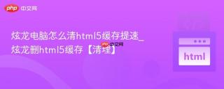 炫龙电脑怎么清html5缓存提速_炫龙删html5缓存【清理】
