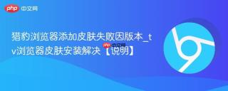 猎豹浏览器添加皮肤失败因版本_tv浏览器皮肤安装解决【说明】
