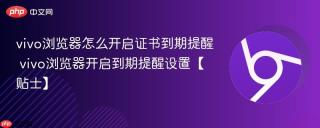vivo浏览器怎么开启证书到期提醒 vivo浏览器开启到期提醒设置【贴士】