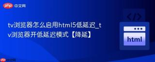 tv浏览器怎么启用html5低延迟_tv浏览器开低延迟模式【降延】