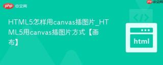 HTML5怎样用canvas插图片_HTML5用canvas插图片方式【画布】
