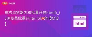 猎豹浏览器怎样批量开启html5_tv浏览器批量开html5诀窍【批设】