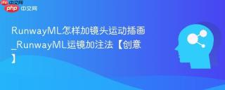 RunwayML怎样加镜头运动插画_RunwayML运镜加注法【创意】