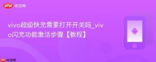 vivo超级快充需要打开开关吗_vivo闪充功能激活步骤【教程】