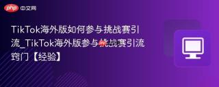 TikTok海外版如何参与挑战赛引流_TikTok海外版参与挑战赛引流窍门【经验】