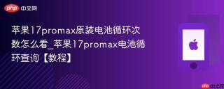 苹果17promax原装电池循环次数怎么看_苹果17promax电池循环查询【教程】
