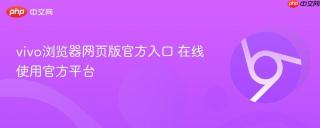 vivo浏览器网页版官方入口 在线使用官方平台