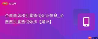 企查查怎样批量查询企业信息_企查查批量查询做法【建议】
