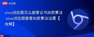vivo浏览器怎么查看证书加密算法 vivo浏览器查看加密算法设置【攻略】