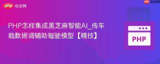 PHP怎样集成黑芝麻智能AI_传车载数据调辅助驾驶模型【精技】