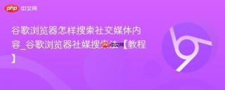 谷歌浏览器怎样搜索社交媒体内容_谷歌浏览器社媒搜索法【教程】