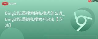 Bing浏览器搜索隐私模式怎么进_Bing浏览器隐私搜索开启法【方法】
