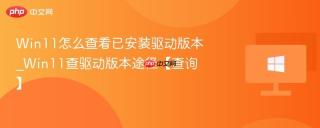 Win11怎么查看已安装驱动版本_Win11查驱动版本途径【查询】