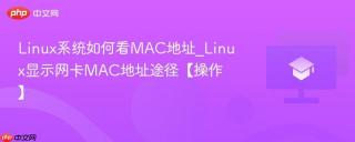Linux系统如何看MAC地址_Linux显示网卡MAC地址途径【操作】