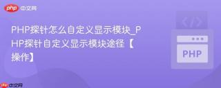 PHP探针怎么自定义显示模块_PHP探针自定义显示模块途径【操作】