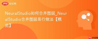 NeuralStudio如何合并图层_NeuralStudio合并图层易行做法【概览】