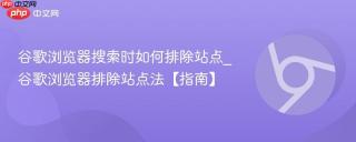 谷歌浏览器搜索时如何排除站点_谷歌浏览器排除站点法【指南】