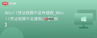 win11凭证权限不足咋提权_win11凭证权限不足提权法【升权】