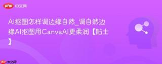 AI抠图怎样调边缘自然_调自然边缘AI抠图用CanvaAI更柔润【贴士】