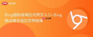 Bing国际版响应式网页入口-Bing移动端自适应官网链接