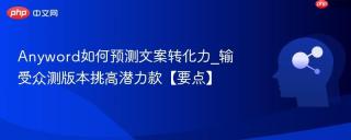 Anyword如何预测文案转化力_输受众测版本挑高潜力款【要点】