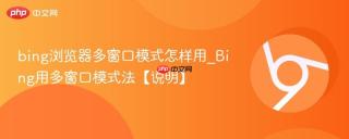 bing浏览器多窗口模式怎样用_Bing用多窗口模式法【说明】