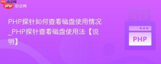 PHP探针如何查看磁盘使用情况_PHP探针查看磁盘使用法【说明】