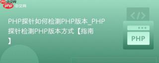 PHP探针如何检测PHP版本_PHP探针检测PHP版本方式【指南】