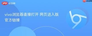 vivo浏览器直接打开 网页进入版官方链接
