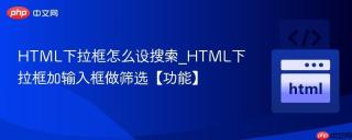 HTML下拉框怎么设搜索_HTML下拉框加输入框做筛选【功能】