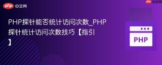 PHP探针能否统计访问次数_PHP探针统计访问次数技巧【指引】