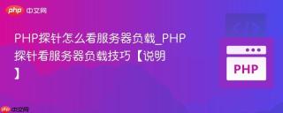 PHP探针怎么看服务器负载_PHP探针看服务器负载技巧【说明】