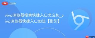 vivo浏览器搜索快捷入口怎么加_vivo浏览器快捷入口加法【指引】