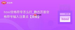 html空格符号怎么打_静态页面空格符号输入注意点【提醒】