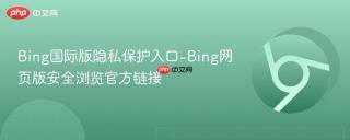 Bing国际版隐私保护入口-Bing网页版安全浏览官方链接