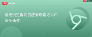 悟空浏览器网页版最新官方入口安全通道