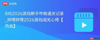 b站2026游戏新手咋做通关记录_哔哩哔哩2026游戏闯关心得【热血】