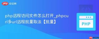 php远程访问文件怎么打开_phpcurl多url远程批量取法【批量】