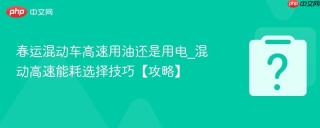 春运混动车高速用油还是用电_混动高速能耗选择技巧【攻略】
