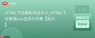 html下拉框如何设大小_html下拉框调size显多行列表【显示】